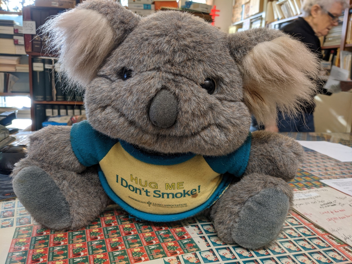 kristy koala furreal